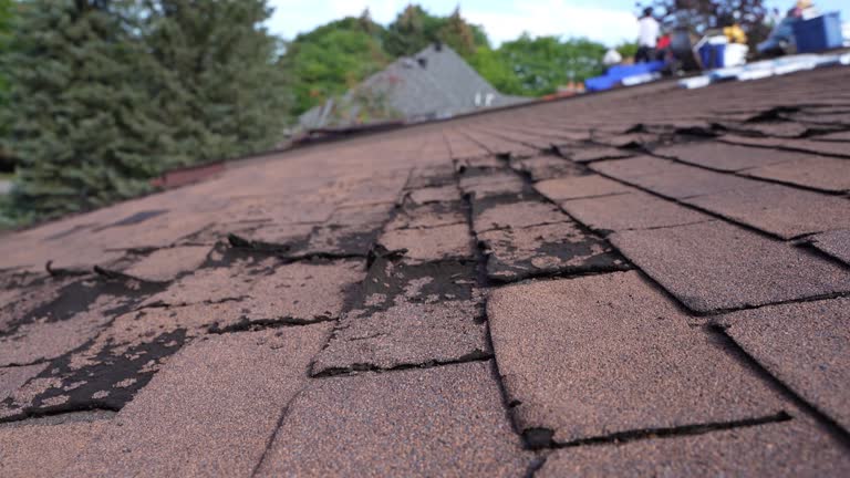 Best Asphalt Shingles Roofing  in Desert Aire, WA