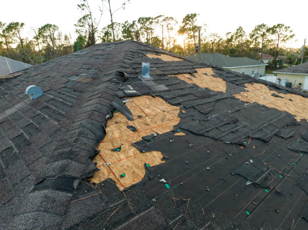 Best Roof Ventilation Installation  in Desert Aire, WA